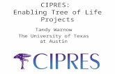 CIPRES:  Enabling Tree of Life Projects