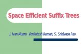 Space Efficient Suffix Trees