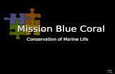 Mission Blue Coral