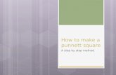 How to make a  punnett  square