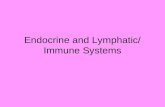 Endocrine and Lymphatic/ Immune Systems