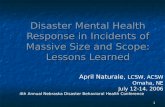 Disaster Mental Health Response in Incidents of Massive Size and Scope: Lessons Learned