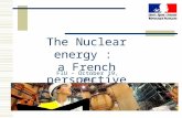 The Nuclear energy :  a French perspective