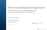 The neuroblastoma genome  Studies of genomic alterations using  copy number microarray analyzes