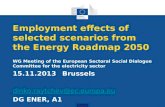 Employment effects of selected scenarios from the Energy Roadmap 2050