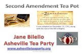 Second Amendment Tea Pot