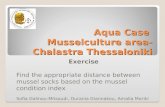 Aqua Case  Musselculture  area- Chalastra  Thessaloniki