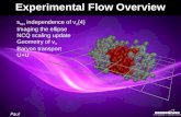 Experimental Flow Overview