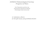 AMSEAS Meteorological Forcing: Progress & Plans Pat  Fitzpatrick and Yee Lau