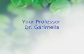 Your Professor  Dr. Garimella