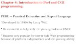 Chapter 4: Introduction to Perl and CGI programming.