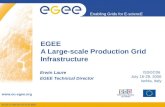 EGEE A Large-scale Production Grid Infrastructure