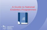 A Guide to National Diabetes Programmes