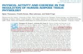 La quantità relativa di attività fisica dipende dalle capacità assolute di ciascun individuo