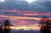 State Wetlands Workshop: An Examination of Best Practices  Post –SWANCC  October 22, 2002