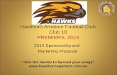Hawthorn Amateur Football Club Club 18 PREMIERS, 2013