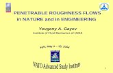 PENETRABLE ROUGHNESS FLOWS in NATURE and in ENGINEERING