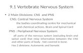 9.1 Vertebrate Nervous System