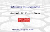 Adatoms in Graphene Antonio H. Castro Neto