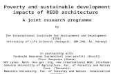 Poverty and sustainable development impacts of REDD architecture  A joint research programme by