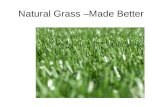 Natural Grass –Made Better