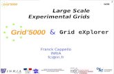 Large Scale Experimental Grids
