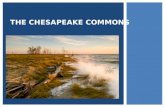 The Chesapeake Commons