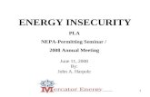 ENERGY INSECURITY