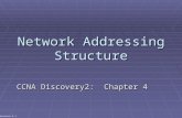 Network Addressing Structure