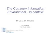 The Common Information Environment - in context