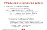 Introduction to Numbering System