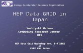 HEP Data GRID in Japan
