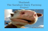 Thailand: The Saraburi Dairy Farming Project