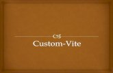 Custom- Vite