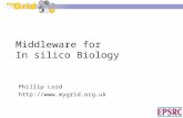 Middleware for  In silico Biology