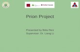 Prion Project