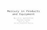Mercury in Products and Equipment
