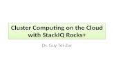 Cluster Computing on the Cloud with  StackIQ  Rocks+