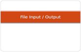 File Input / Output
