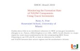 SMOC Brazil 2010 Monitoring the Formation Rate  of NADW Components  Using Tracer Inventories