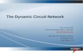 The Dynamic Circuit Network