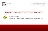 TÜLİN SOLAK Temelsu International Engineering Services  Inc.