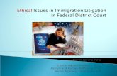 Ethical  Issues in Immigration Litigation in Federal District Court