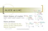 ALICE at LHC