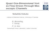 Quasi One-Dimensional Vortex Flow Driven Through Mesoscopic Channels
