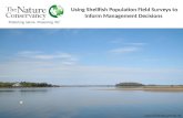 Using Shellfish Population Field Surveys to Inform Management Decisions