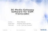 3G Media Gateway Software for GSM Transcoder