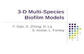 3-D Multi-Species Biofilm Models