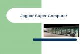 Jaguar Super Computer
