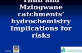 Thuli and Mzingwane catchments’ hydrochemistry Implications for risks